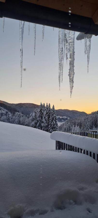 Penthouse Skyview Im Natur-Erlebnispark Bad Kleinkirchheim Patergassen 외부 사진